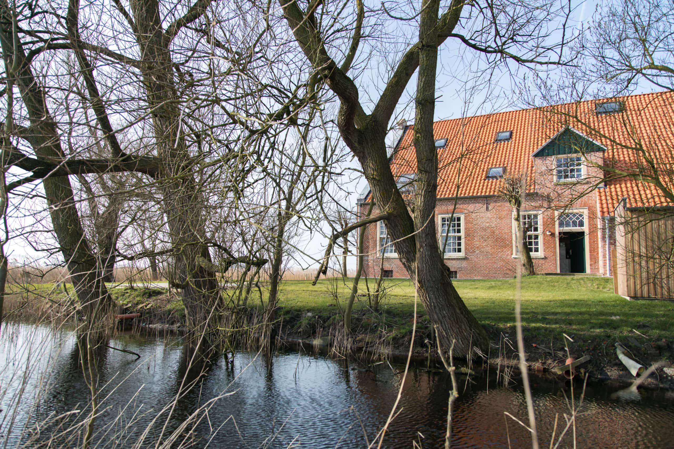 Der alte Baumbestand und der Teich vor dem ehemaligen Wohntrakt des Gulfhofs