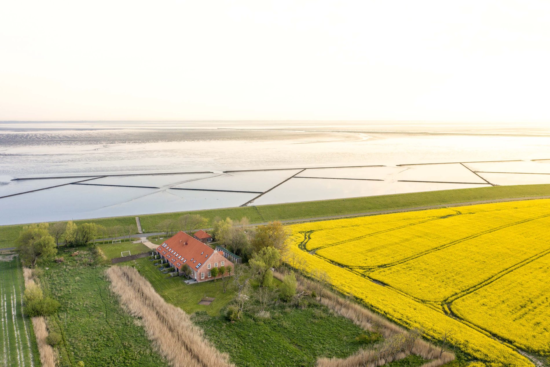 Luftaufnahme des Gulfhofs zwischen leuchtendem Rapsfeld und dem Wattenmeer